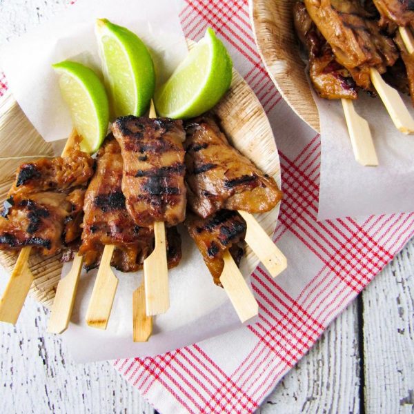 Sate spiesjes